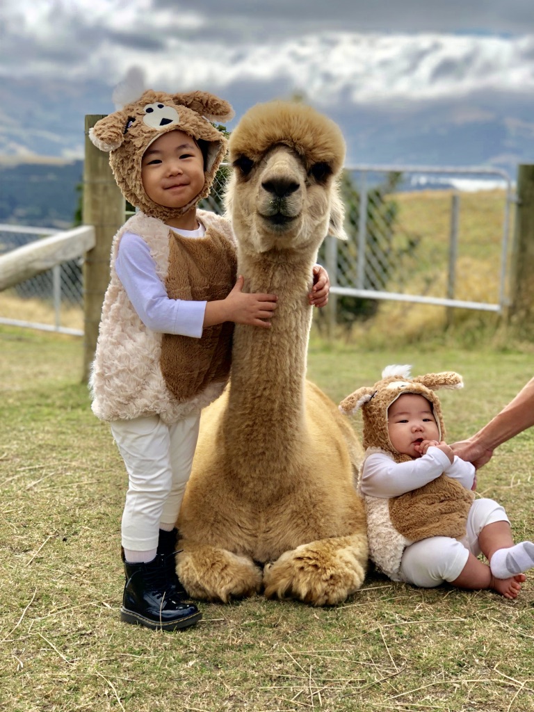 Cute kids in alpaca costumes with Shamarra Rising Sun