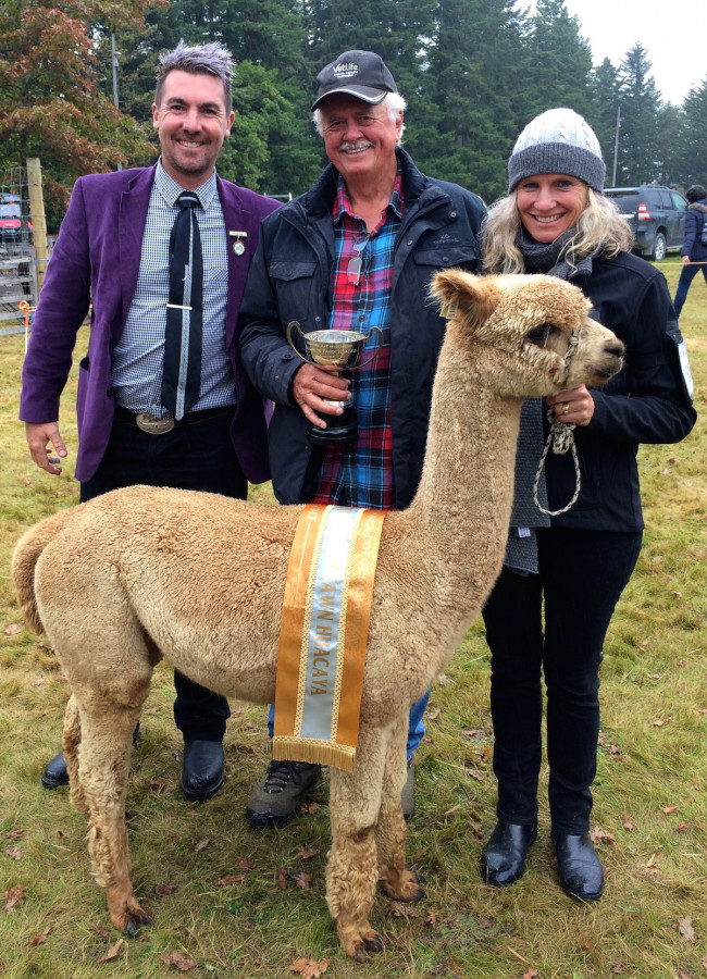 Anya and Frank with an Alpaca at the Malvern A&P Show
