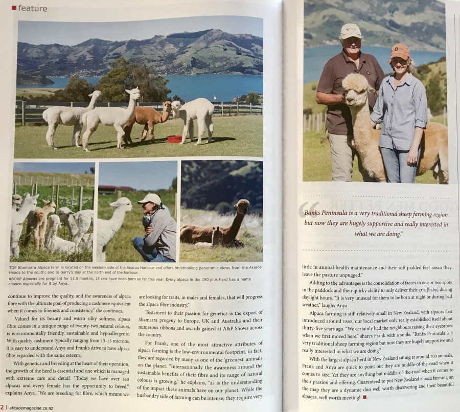Magazine Spread showcasing Shmarra Alpacas